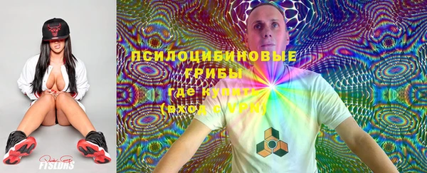 героин Алзамай
